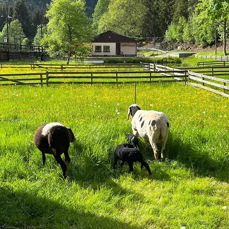 Apartamento Schmalzgrube *